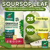 Hanan Soursop Leaf Tea Bags – 100% Natural Hojas de