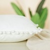 PiccoCasa Velvet Pillow Covers Throw Pillow Covers with Balls for