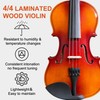 Beginner Violin,4/4 Violin Full Size For Adults,Students,Fiddle Set