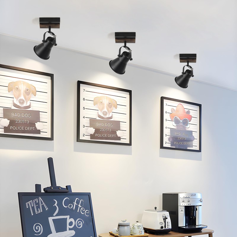 SEEBLEN 2-Light Track Light Fixtures, Adjustable Ceiling/Wall Mount, Industrial Black