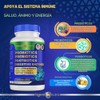 Probióticos prebióticos postbióticos con enzimas digestivas 4 en 1 suplemento
