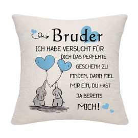 Brother Gift from Brother Sister Brother Cushion Cover from Sister Brother Gift for Brother Birthday Gift (Brother)