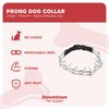 Downtown Pet Supply Chrome Plated/Nylon Prong Collar for Dogs, Large