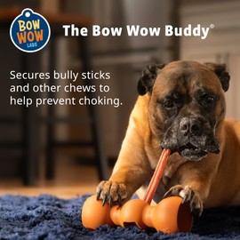Bow Wow Labs New Bow Wow Buddy Starter Kit - Anti-Choking Bully Stick Safety Device for Dogs (XL)