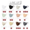 Iris Ohyama RK-F5SUC Daily Fit Mask, JIS Certified, Non-woven Fabric,