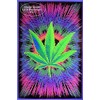 Studio B Canna Vibes NonFlocked Blacklight Poster 24x36