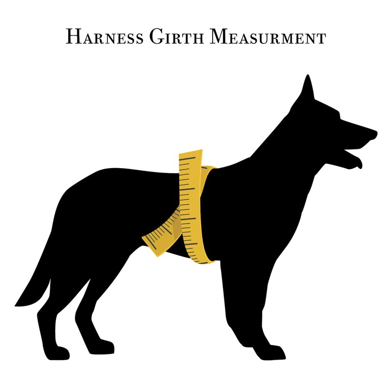 Redline K-9 All Weather Biothane Dog Harness (Medium, Orange)