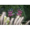 Grip Gardening Gloves Webbed Premium Rubber Stylish Thea Glove by