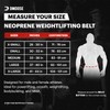 DMoose lifting belts 6 Inch Auto-Lock Breathable Weight Lifting Back