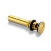Luxier DS04-TG 1-1/2 in. Brass Bathroom and Vessel Sink Push