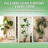 Yhtpouqe 3 Pack Extendable Plant Stakes, 16.5-42.5 Inch Plant Stakes