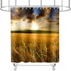 Golden Wheat Fields Shower Curtain Rustic Farmland Rye Sun Shine