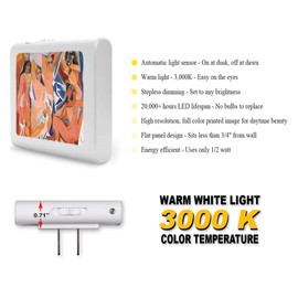 Plug in Dimmable LED Night Light with Dusk to Dawn Auto Sensor, Adjustable Brightness, Warm Light, Auto On-Off Nightlight for Bathroom, Hallway, Nursery, Bedrooms - Picasso: Les Demoiselles