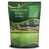 Outsidepride Creeping Red Fescue Grass Seed - 10 Lbs. Cool