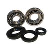 C3 Crankshaft Bearing Set with Oil Seals Morini 50 cc