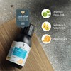 Dr. Budwig Omega 3 Algae Oil Orange (100 ml) High