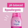 Vagisil Odor Block Daily Intimate Vaginal Wash 12 oz (Pack