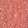 Caronlab Strawberry Creme Hard Wax Beads 800 g, 800 g