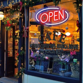 Open Neon Signs Battery Operated, Usb Powered Open Signs for Wall Decor, Adjustable Brightness Display Sign for Window Store Club Hotel Bar Shop Coffee Salon Hotel Walls(USB Powered/16.5 * 8.4 in)