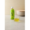Ito En Tea Oi Ocha Green Tea, Unsweetened, 16.9 Ounce