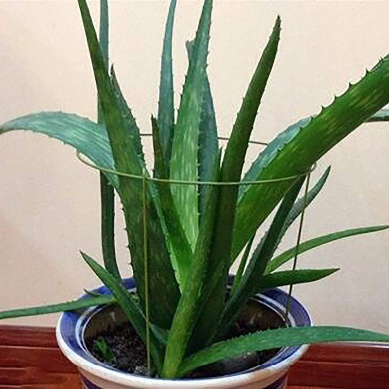 Hanobo 5 Pack Garden Plant Support Rings for Potted Plant,
