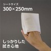 使い捨てタオル しっかりタイプ 30枚 30×25cm アクティ クリーンドライタオル