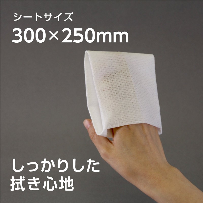 使い捨てタオル しっかりタイプ 30枚 30×25cm アクティ クリーンドライタオル
