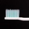Systema Sound Wave Assist Brush (Electric) Replacement Brush Normal
