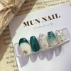 Snowy Meadow Nail Tips - Long Point / 눈내린초원 네일팁