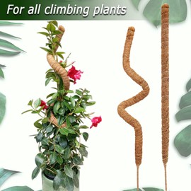 Wooden Extendable Plant Trellis for Potted Plants Indoor