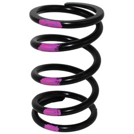 Starting Line Products Logical High Performance Drive Clutch Spring - Black/Pink 40-75