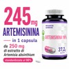Hepatica Artemisinina | 250 mg | standardizzata al 98% |