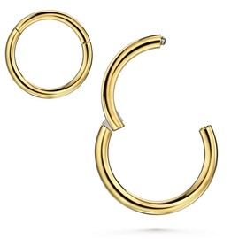 Nose Rings Hoop 20g Cartilage Earring Lip Rings Septum Ring Septum Clicker Helix Earring Rook Earrings Ear Lobe Hoop - 14K Gold Nose Rings - 8mm - 1 Piece