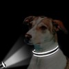 Light Up Dog Collar Reflective Pet Collar Adjustable Nylon Collars