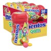 Mentos Sugar Free Gum, Red Fruit Lime, 50 Piece Bottle,