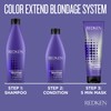 Redken Color Extend Conditioner 250 ml