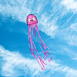 Wolkenstürmer® Mini Octopus (Pink) Children's Kite - Octopus Single Line Octopus with Handle and 40 m Cord - 1-Line Kite & Flight Toy with Poles