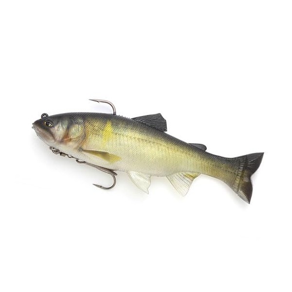 IMAKATSU Worm Lazy Swimmer 7 Inch 3D Realism (ECO Compatible)