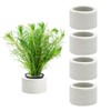 WishLotus 4Pcs Anti-Floating Ceramic Aquatic Plant Rings, 3.5CM Ceramic Aquatic