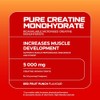 USN USN Micronised Creatine Powder 500g (79 Servings): Red Fruit