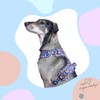 Dog Handle Harness Neoprene Arizona Hotdogs Handle Harness Fall in