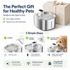 4L Wireless Pet Water Fountain for Cats & Dogs –