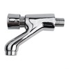 Bathroom Self-Closing Faucet Sink Push Wall Tap Delay Single Lever
