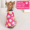 Dog Pajamas Small Sized Boy Girl, Cotton Stretchable Pet Clothes