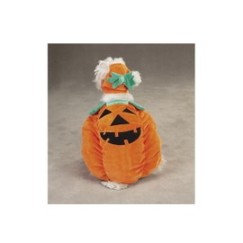 Zack & Zoey Pumpkin Pooch Dog Costume, Large, Orange