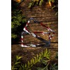 American Flag Eagle License Plate Frames - 2 Pcs Set