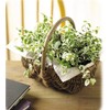 Ohashi Shinji Shop Storage Basket Willow Basket Black Willow Free