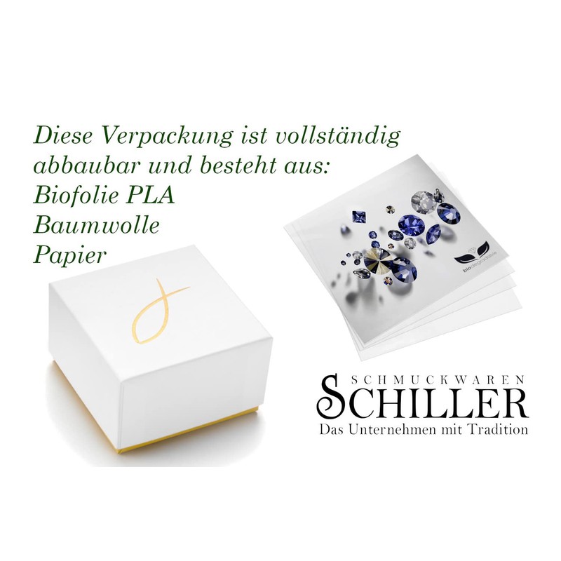 fish Children's Christening Gift Dummy Real Silver Clear Ecological Packaging