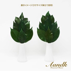 Extreme Sakaki S [No Artificial Flowers] Preserved Sakaki (Uses Luxury Camellia Leaves from Tamba) < Utility Model Registration No. 322297> Handmade Handmade Handmade Sakaki Sakaki One Pair No Watering Required Shrine Shrine Shrine Gear Kamasa New Year N