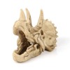 VOANZO Resin Triceratops Skull Model Replica, Dinosaur Tooth Skull Fossil,